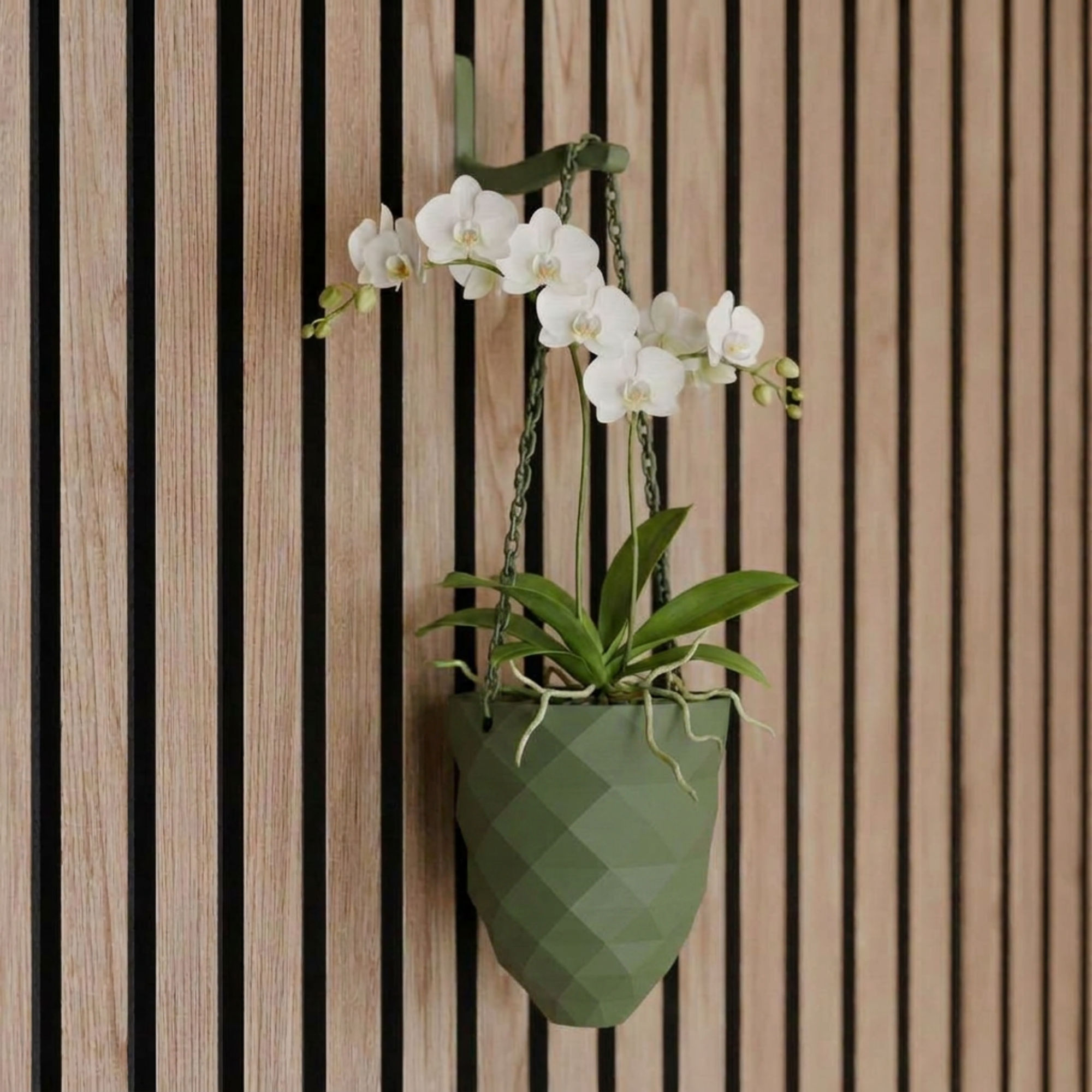 Vase suspendu pour plante – Installation : clip mural