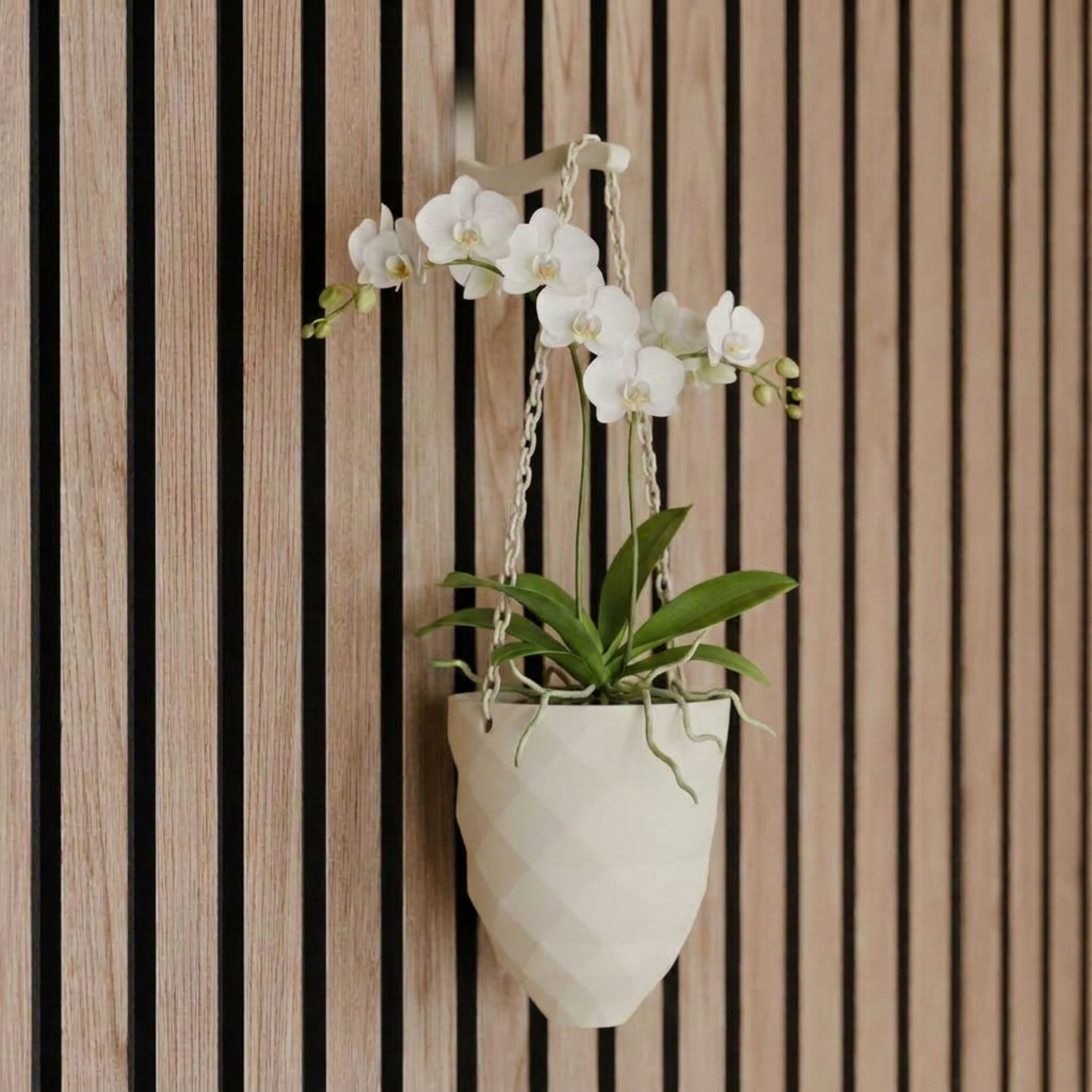 Vase suspendu pour plante – Installation : clip mural