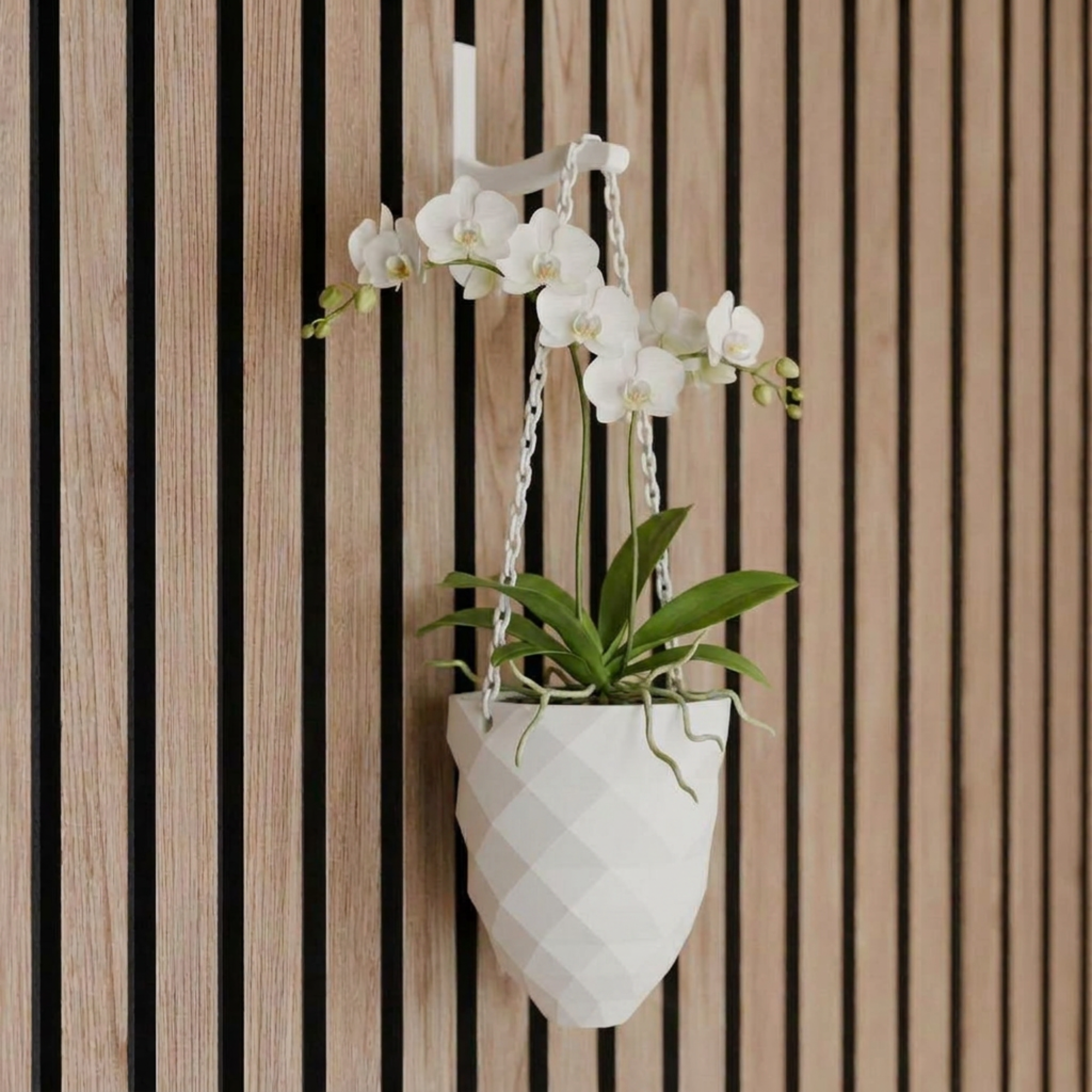 Vase suspendu pour plante – Installation : clip mural