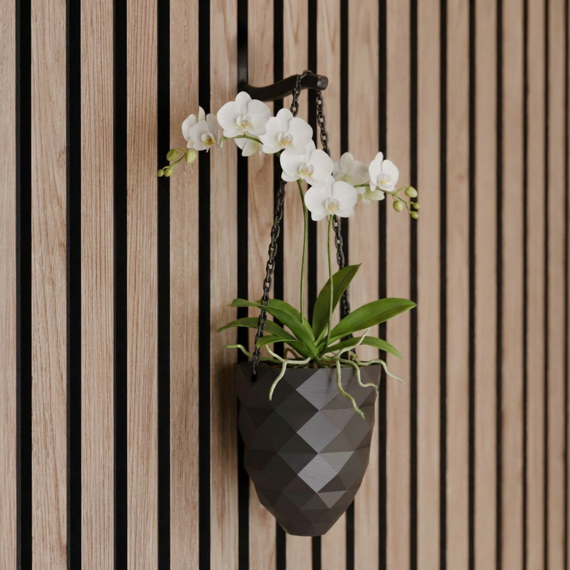 Vase suspendu pour plante – Installation : clip mural