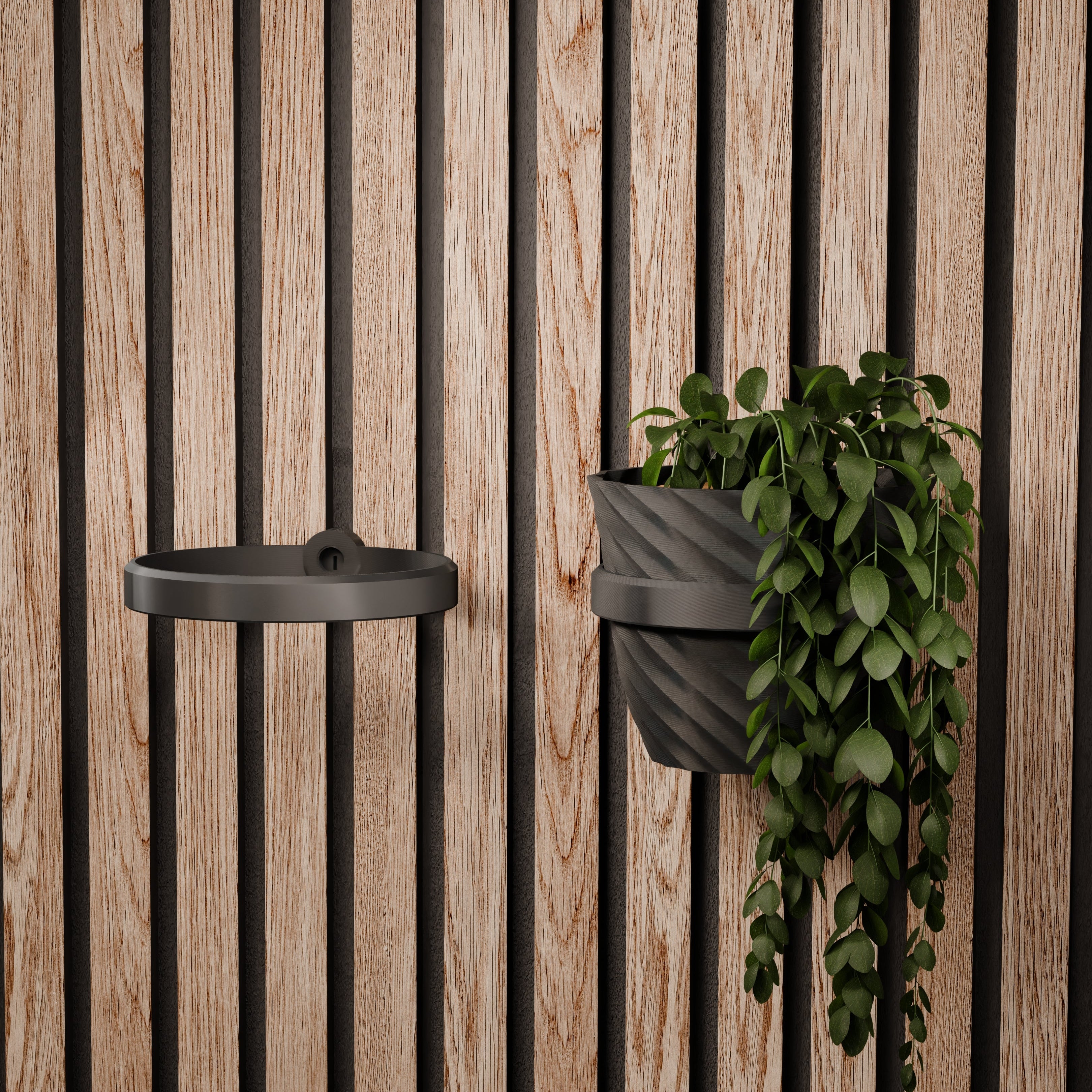 Plantenhouder/ring voor akoestische panelen - Installatietype: Muurclip