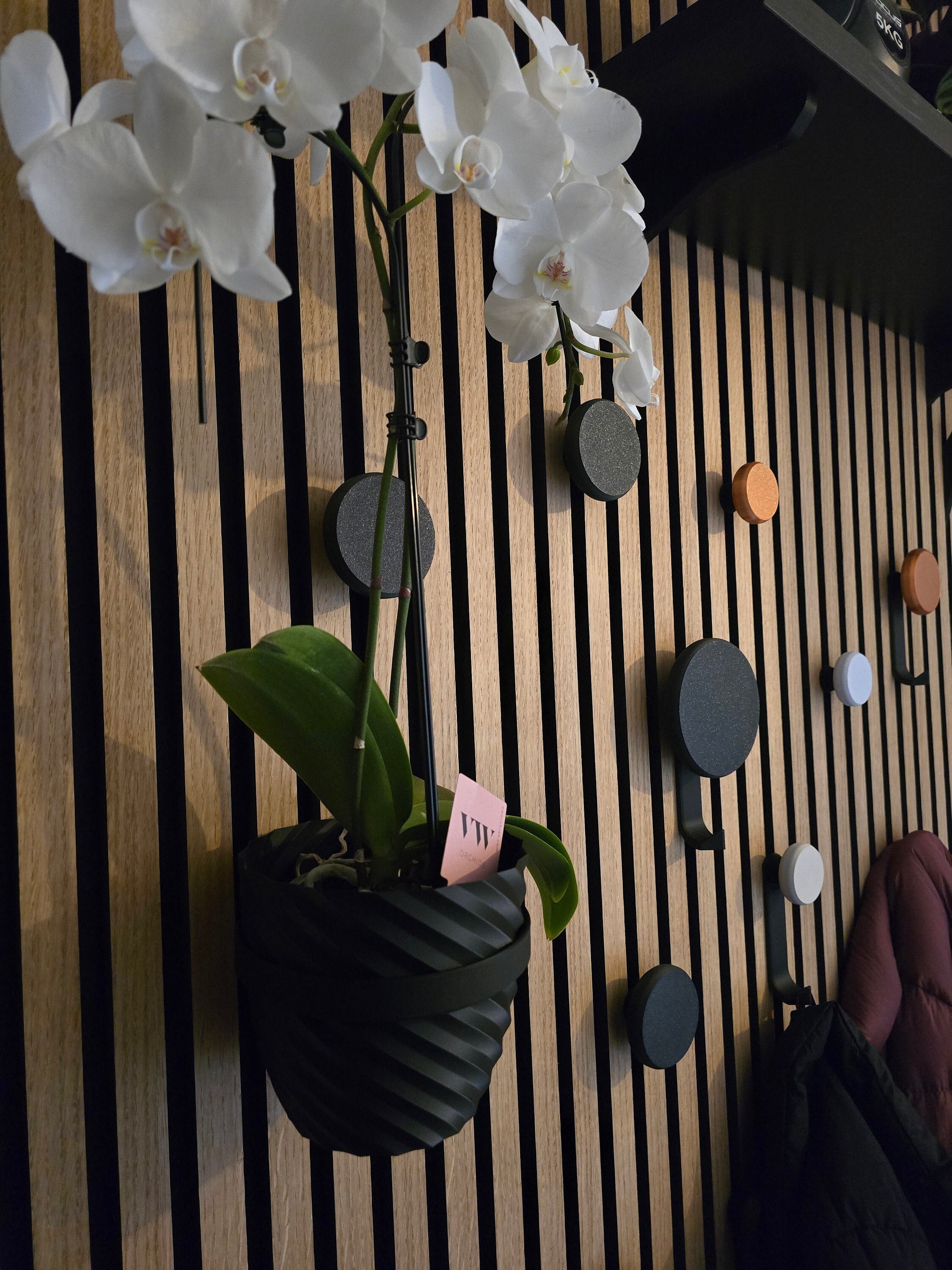 Matching vase for WallTune Plant Ring/Shelf