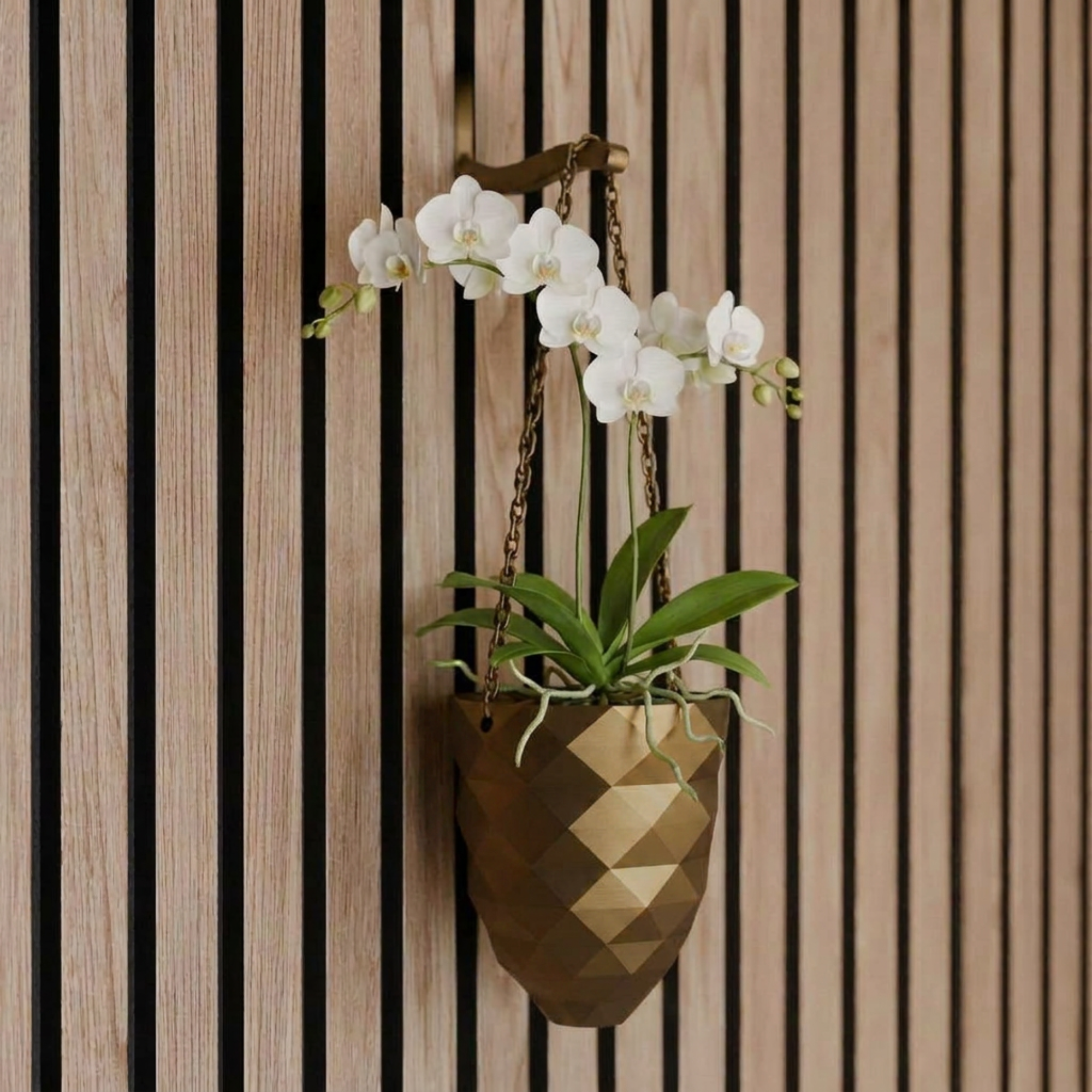 Vase suspendu pour plante – Installation : clip mural