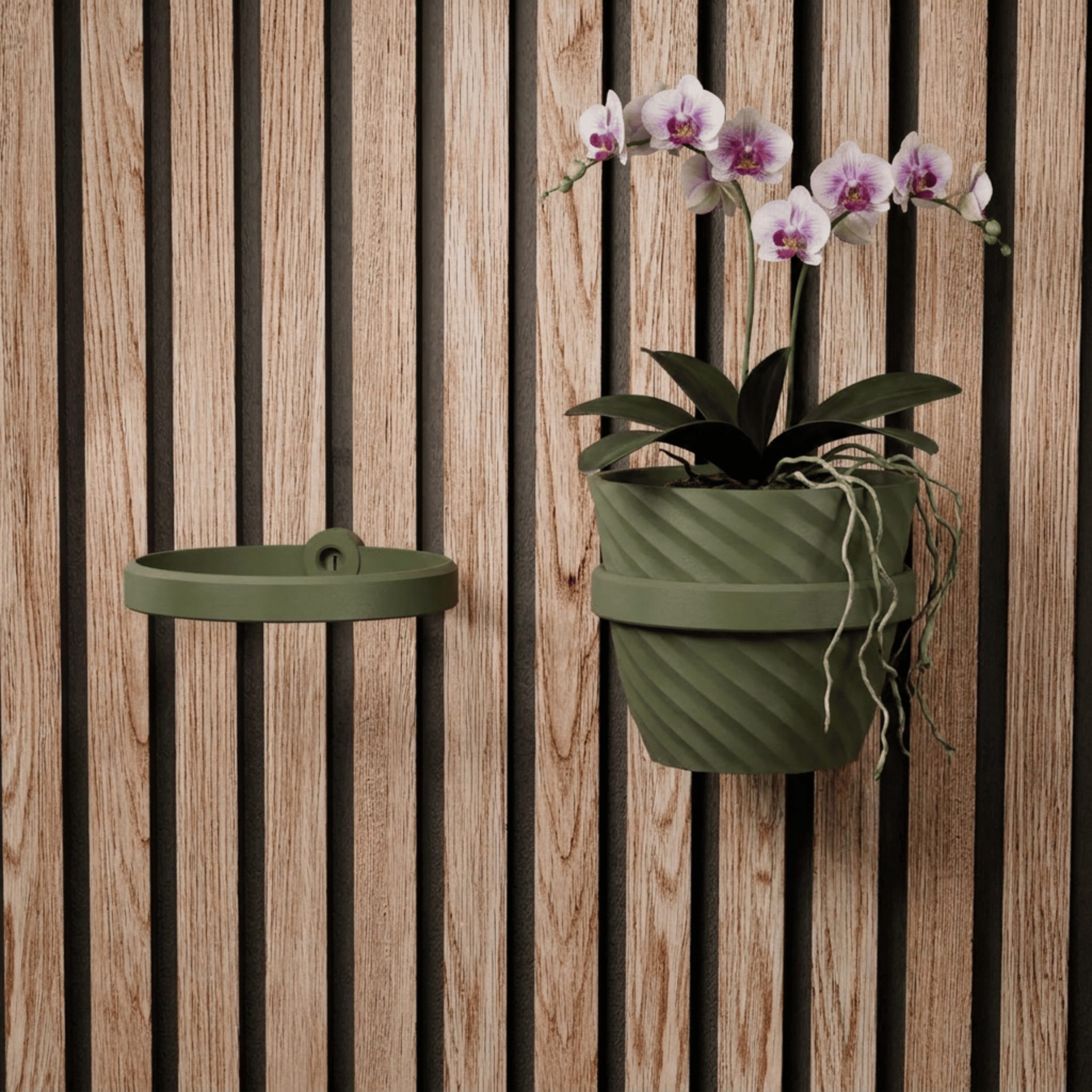 Support/anneau pour plante – Installation : clip mural